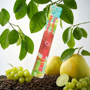 CEELIKE Portable Mouthwash Sticks – Yuzu & Green Grape Refresh