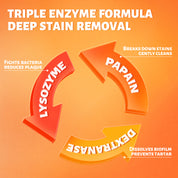 CEELIKE Lysozyme + Hydroxyapatite Toothpaste