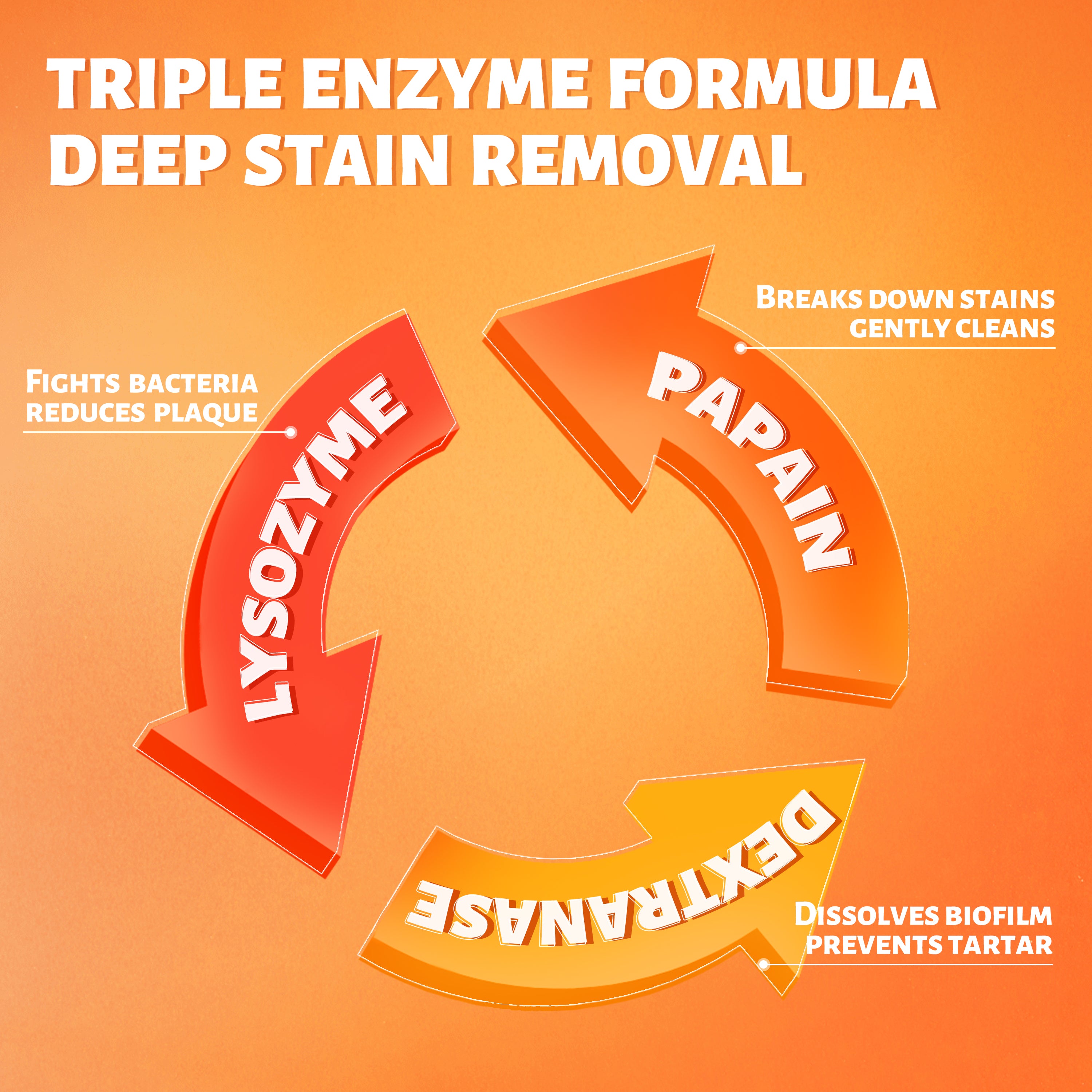 CEELIKE Lysozyme + Hydroxyapatite Toothpaste